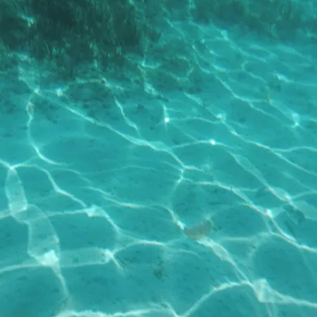 Incanto Sul Mare